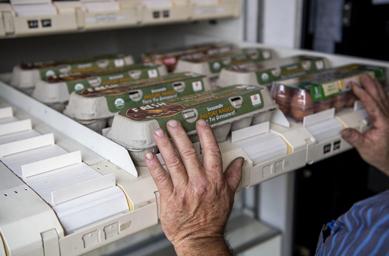 How Convenient Is an Egg Vending Machine?